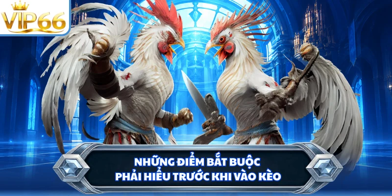 Những điểm bắt buộc phải hiểu trước khi vào kèo