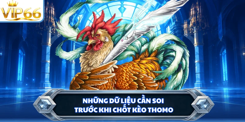 Những dữ liệu cần soi trước khi chốt kèo Thomo 