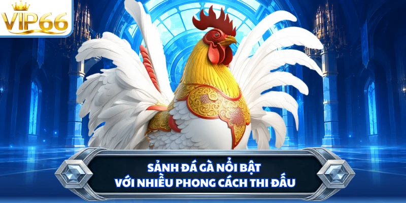 Sảnh đá gà nổi bật với nhiều phong cách thi đấu
