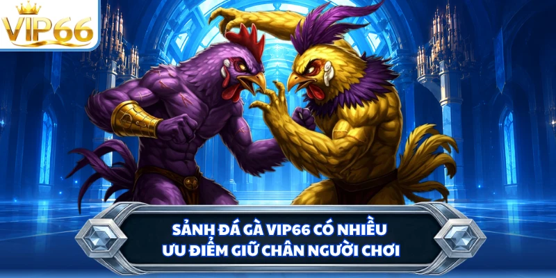 Sảnh đá gà VIP66 có nhiều ưu điểm giữ chân người chơi